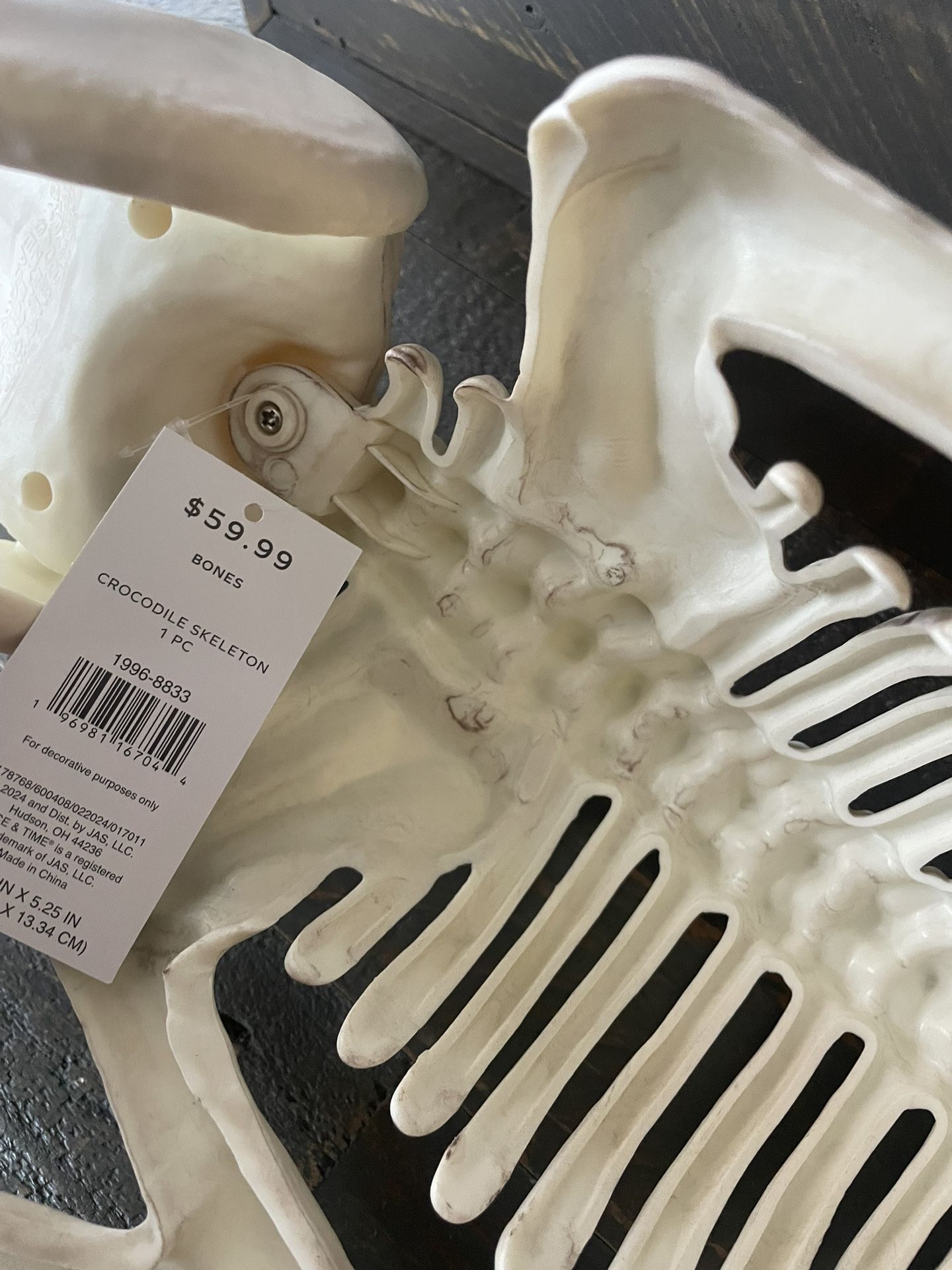 Giant Skeleton Crocodile/Alligator - Faux - photo 5