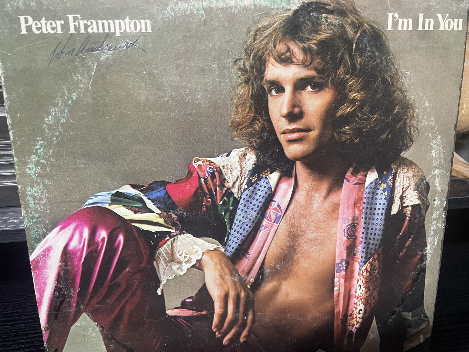 Vintage Peter Frampton - I’m In You Vinyl Record LP - photo 2