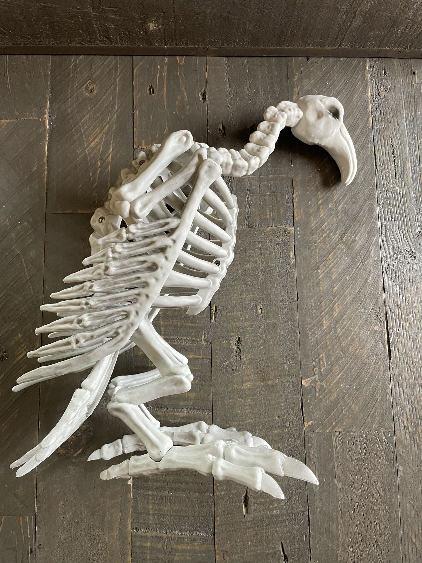 NEW Skeleton Vulture with Moving Neck - Halloween