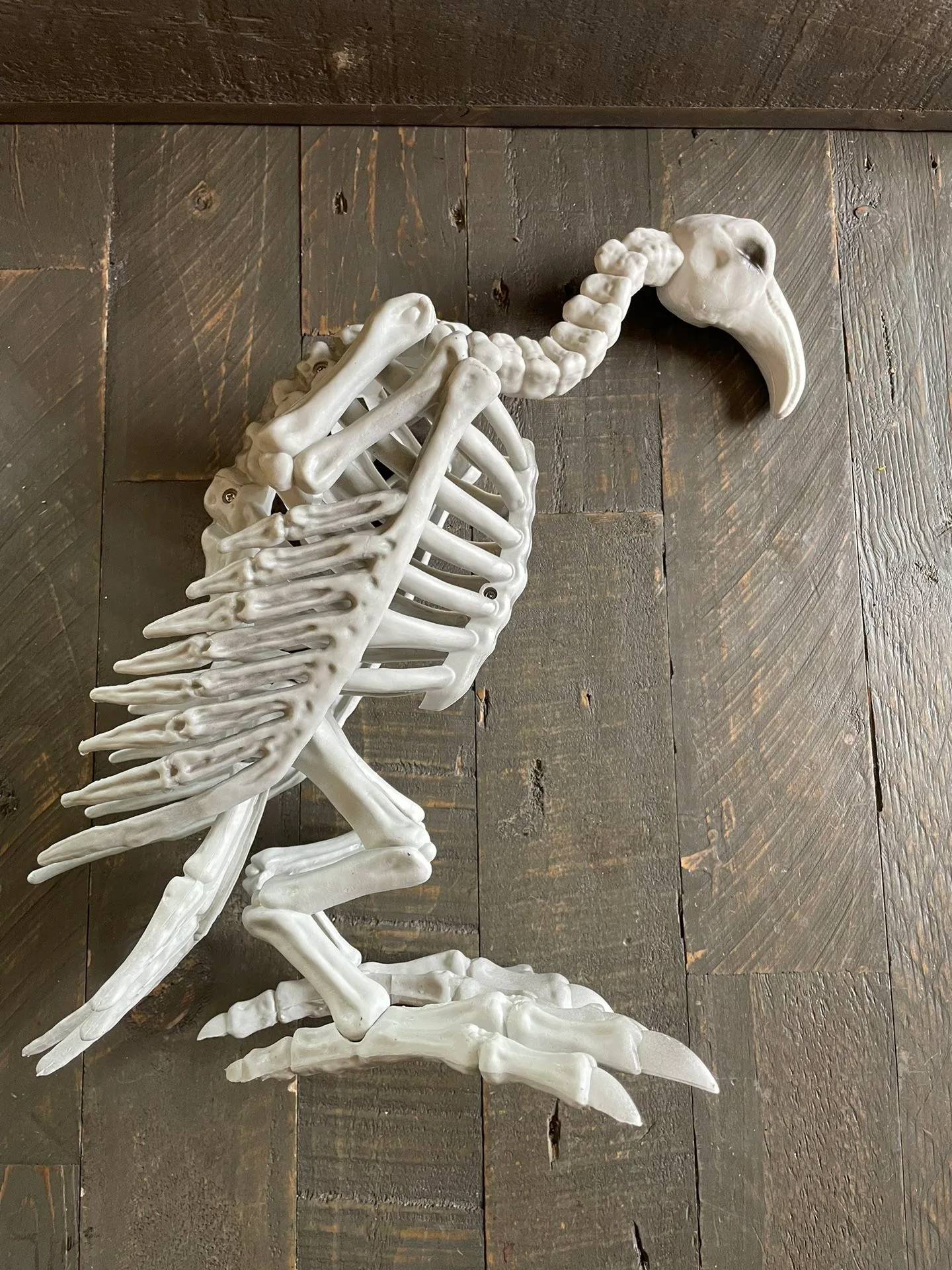 NEW Skeleton Vulture with Moving Neck - Halloween