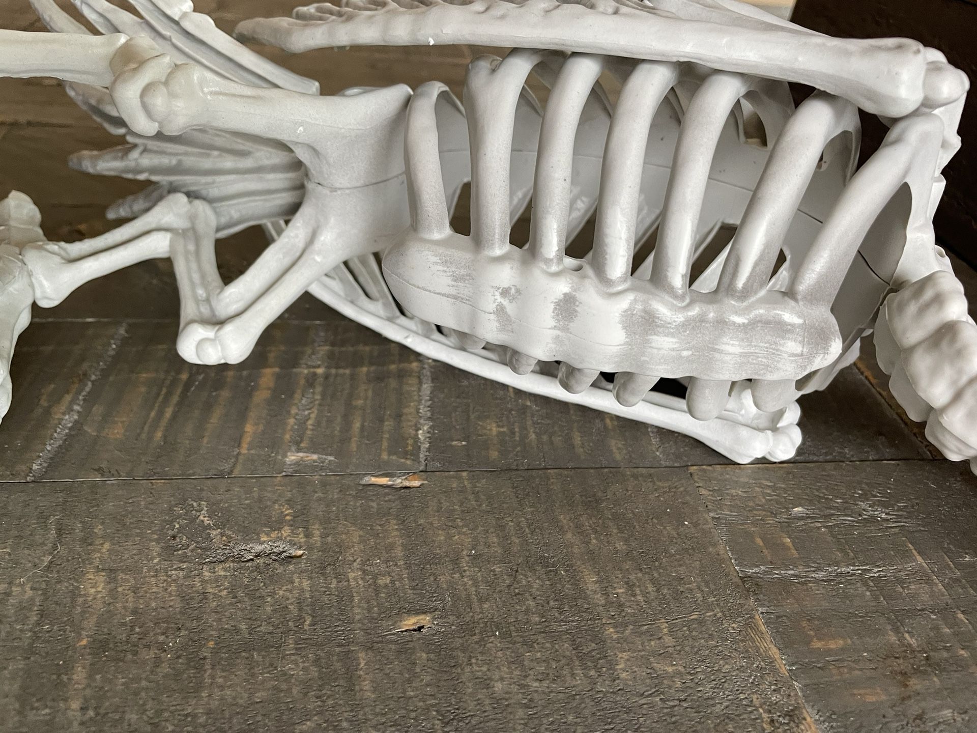 NEW Skeleton Vulture with Moving Neck - Halloween - photo 3