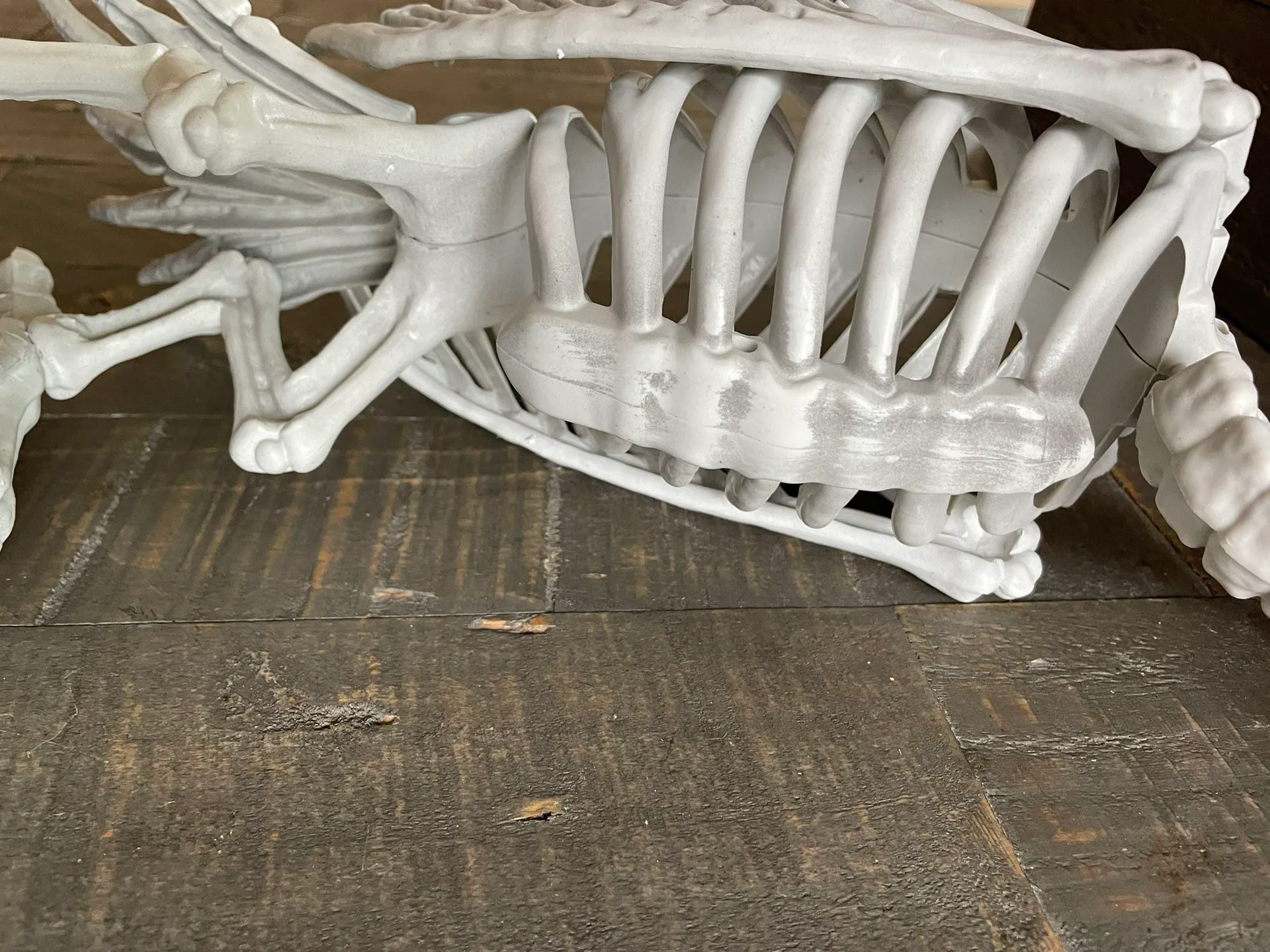 NEW Skeleton Vulture with Moving Neck - Halloween - photo 3