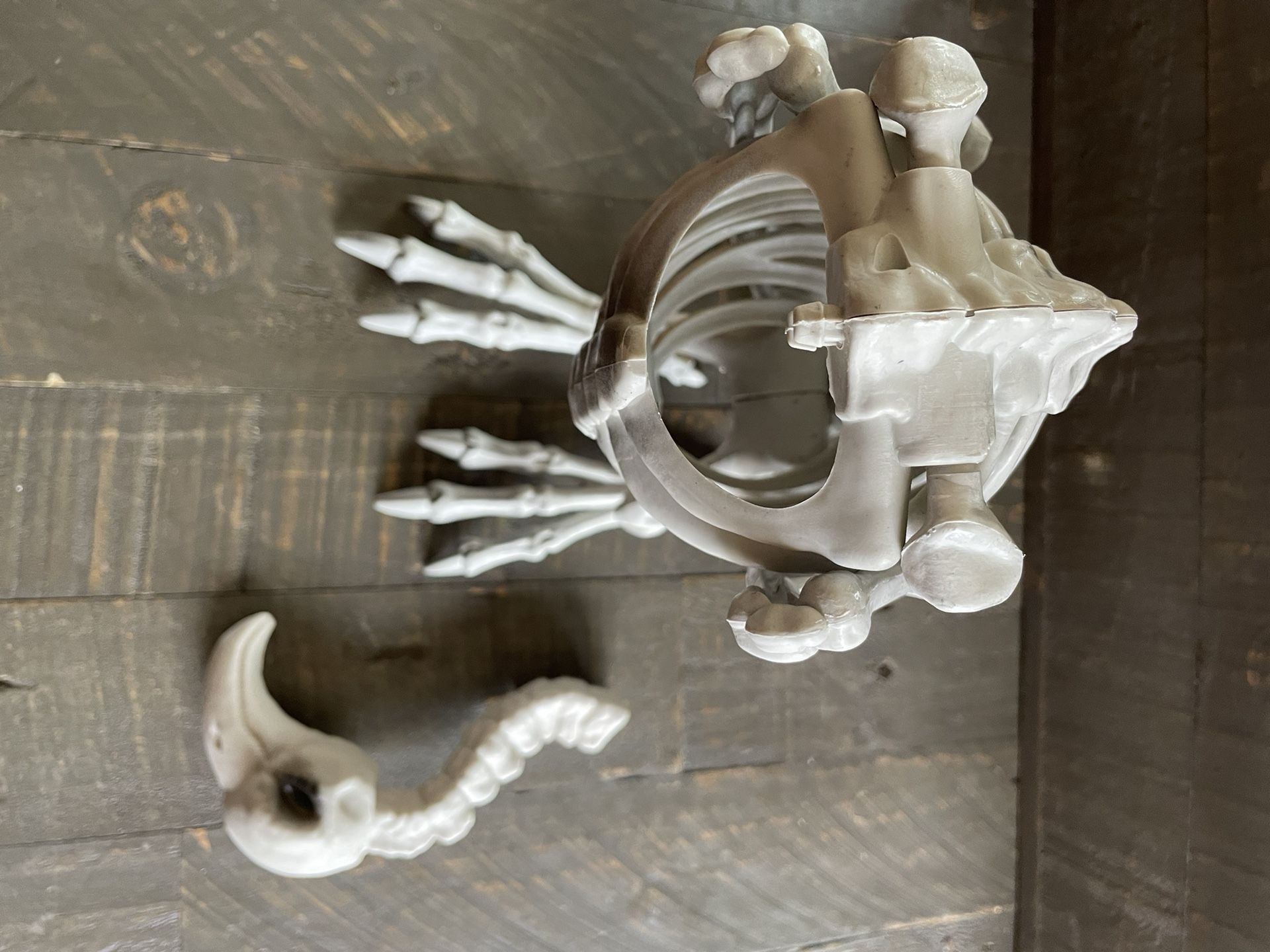 NEW Skeleton Vulture with Moving Neck - Halloween - photo 4