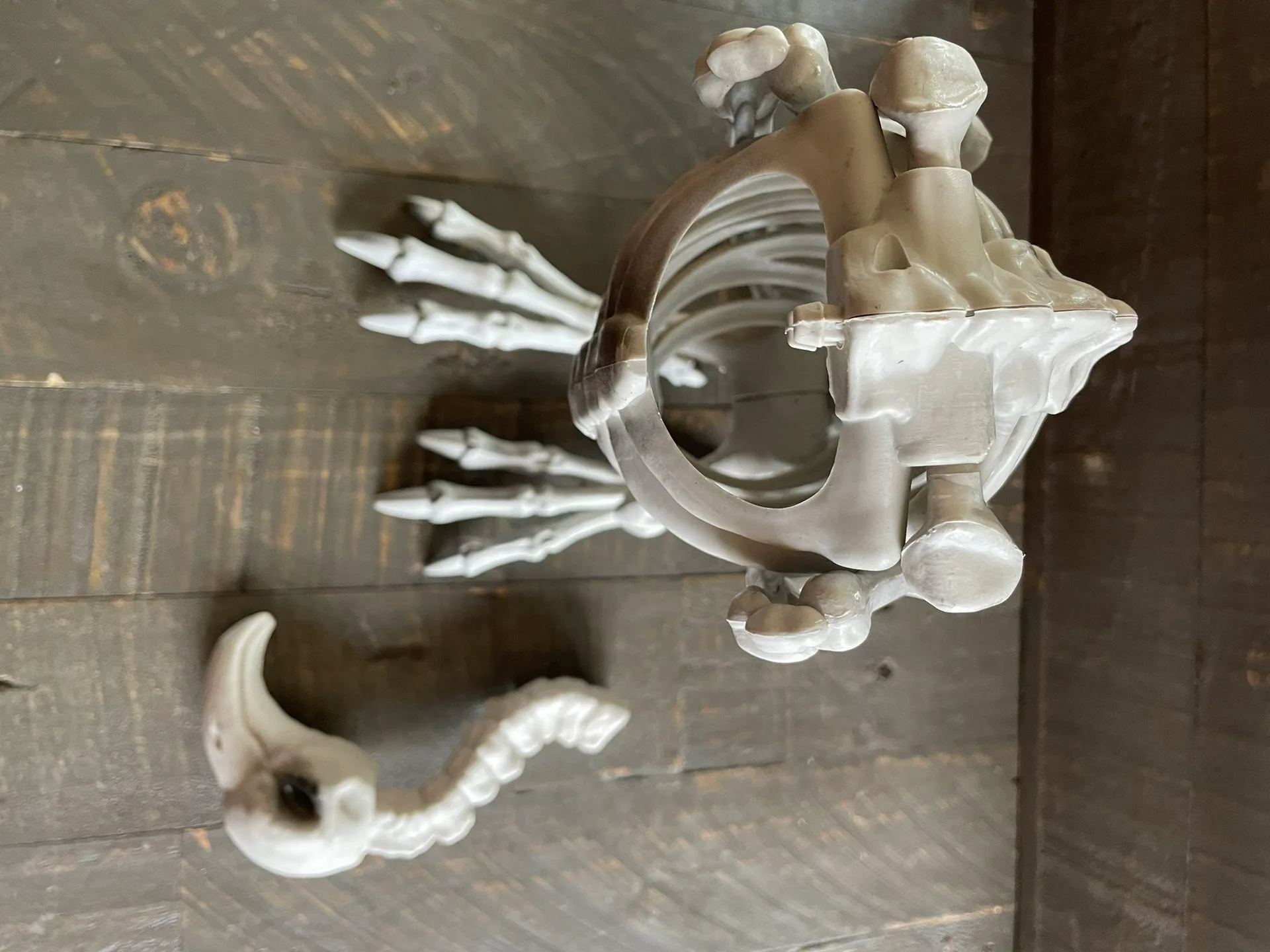 NEW Skeleton Vulture with Moving Neck - Halloween - photo 4
