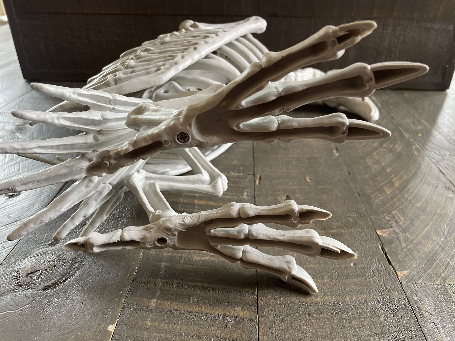 NEW Skeleton Vulture with Moving Neck - Halloween - photo 5
