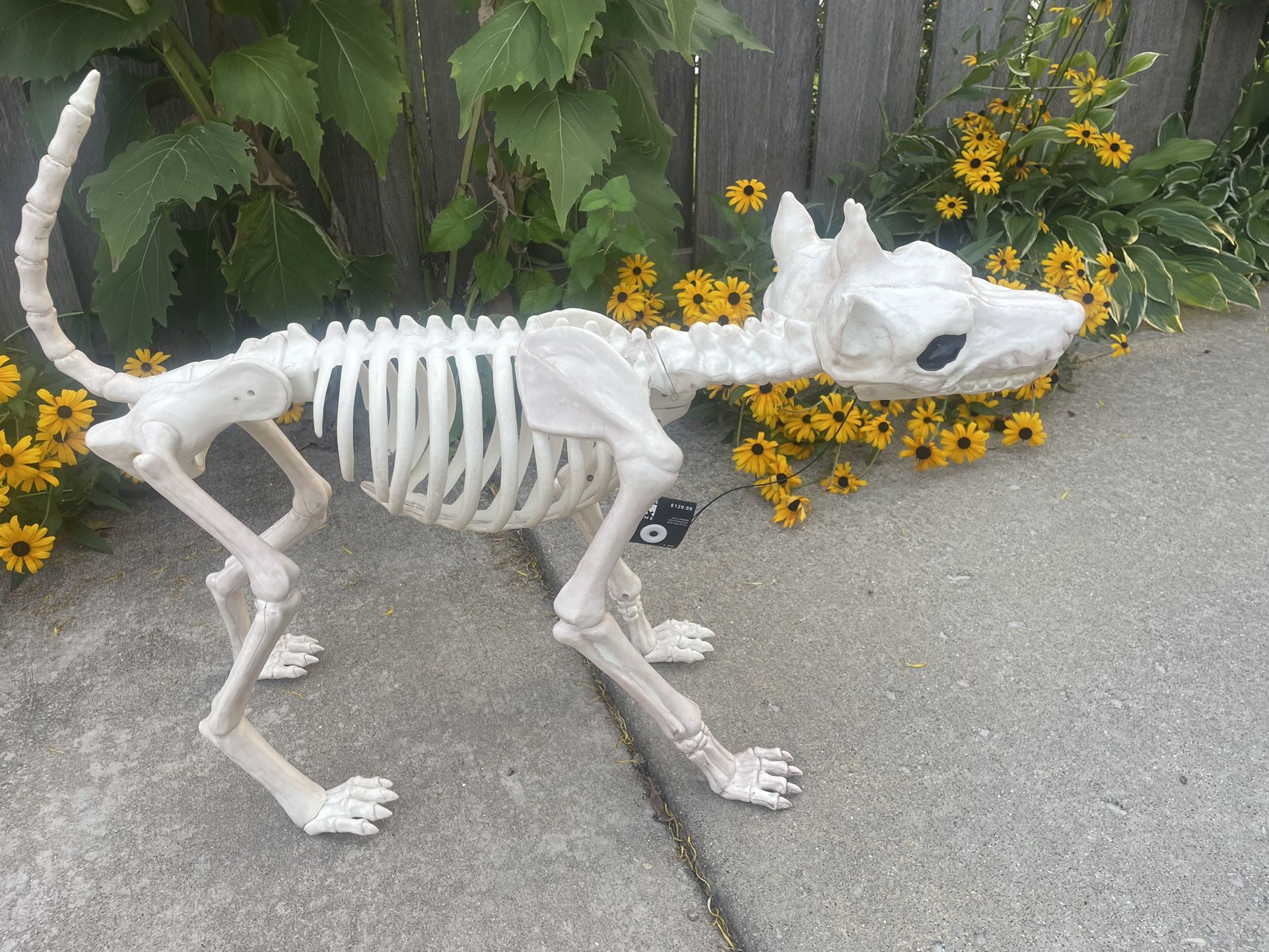 NEW - 2 Headed Animated Barking Dog With Moving Tail And Jaws -