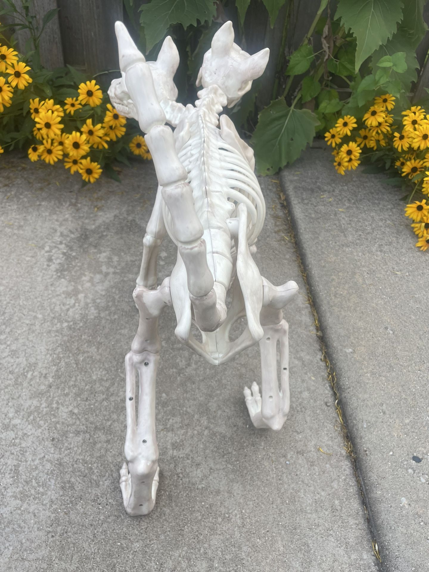 NEW - 2 Headed Animated Barking Dog With Moving Tail And Jaws - - photo 4