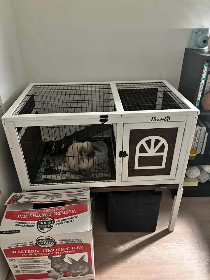Bunny cage