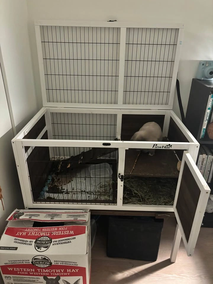 Bunny cage - photo 2