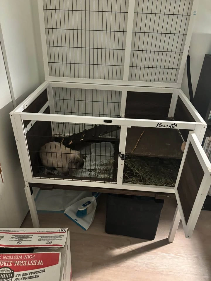 Bunny cage - photo 3