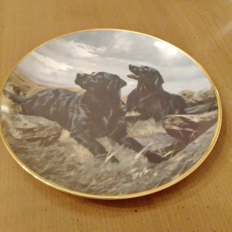 Franklin Mint Ready to Go Labrador Dog Plate