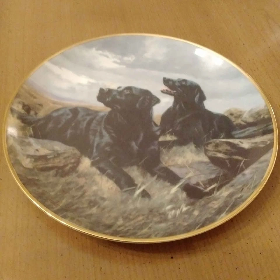 Franklin Mint Ready to Go Labrador Dog Plate - photo 2