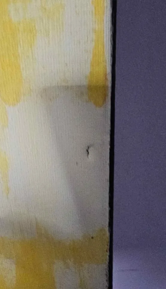 Wizard of oz pairing on canvas image indicator(3)