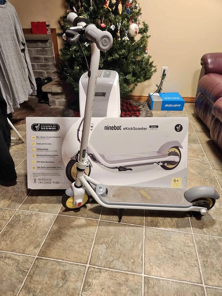Segway - Ninebot Electrox Scooter - Zing C8