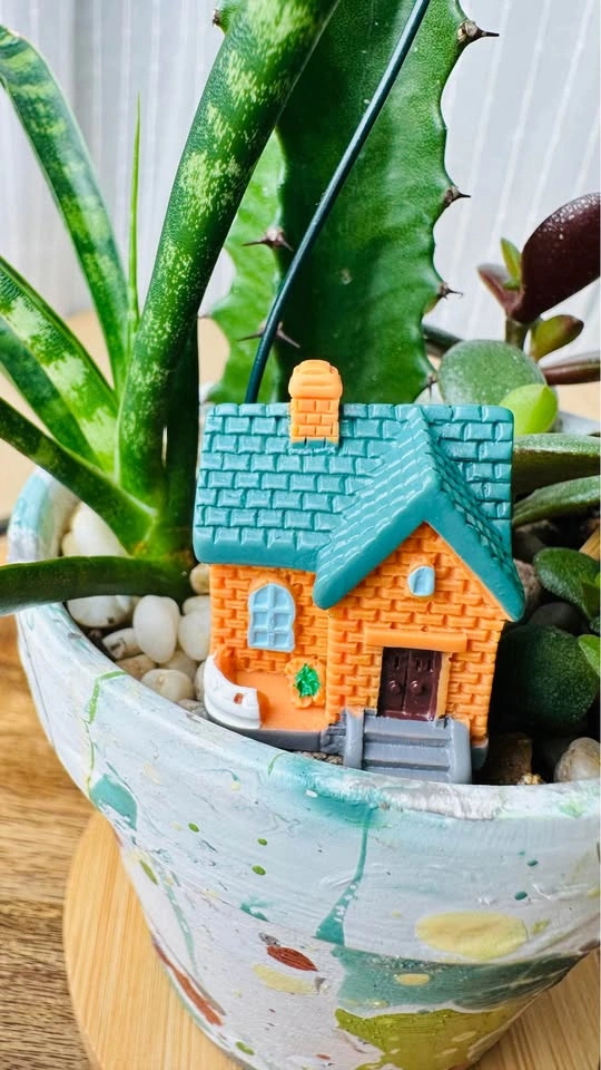 Spring On Sale / Cute Plant Arrangement - photo 3