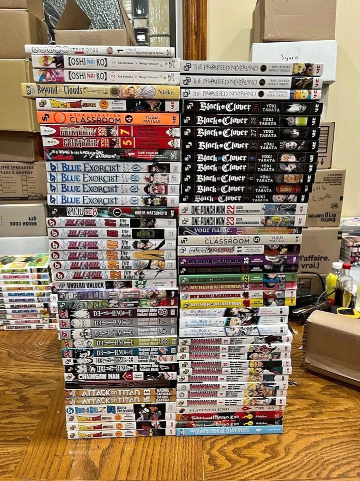 $5 Manga Lot / Bundle
