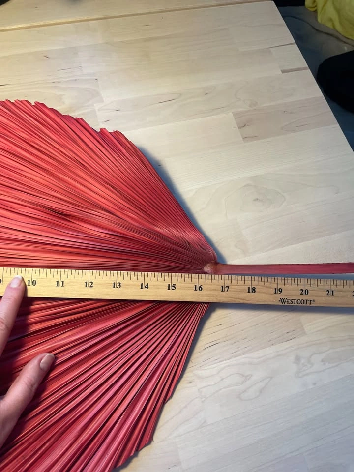 Tall Sangria Red Dried Palm Leaf Decor, 52 inches - photo 3