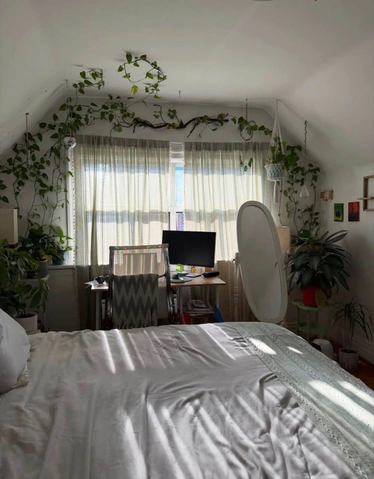 Mattress & Bed frame for sale - move out sale - photo 2