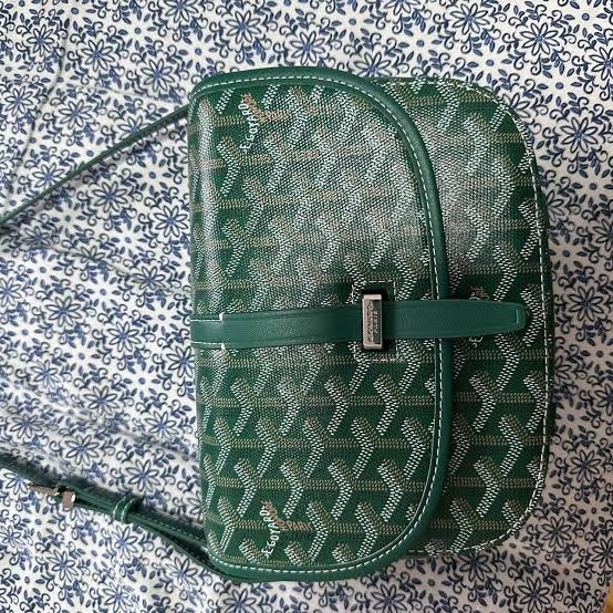 Goyard Belvedere PM Green - photo 2
