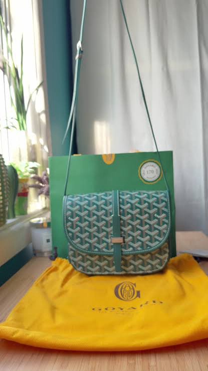 Goyard Belvedere PM Green - photo 3