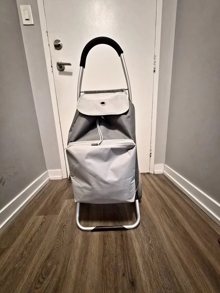 Mainstays Grocery / Utility Cart – C$25