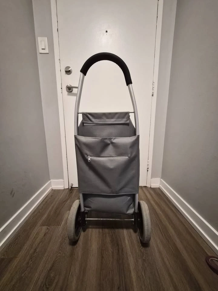 Mainstays Grocery / Utility Cart – C$25 - photo 3