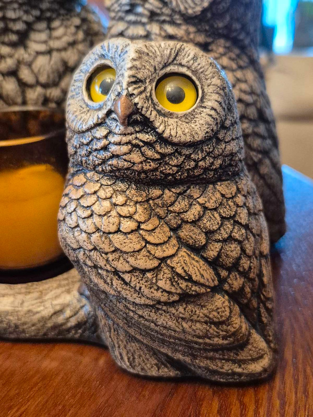 Peña Parliament of Owls - New - photo 3