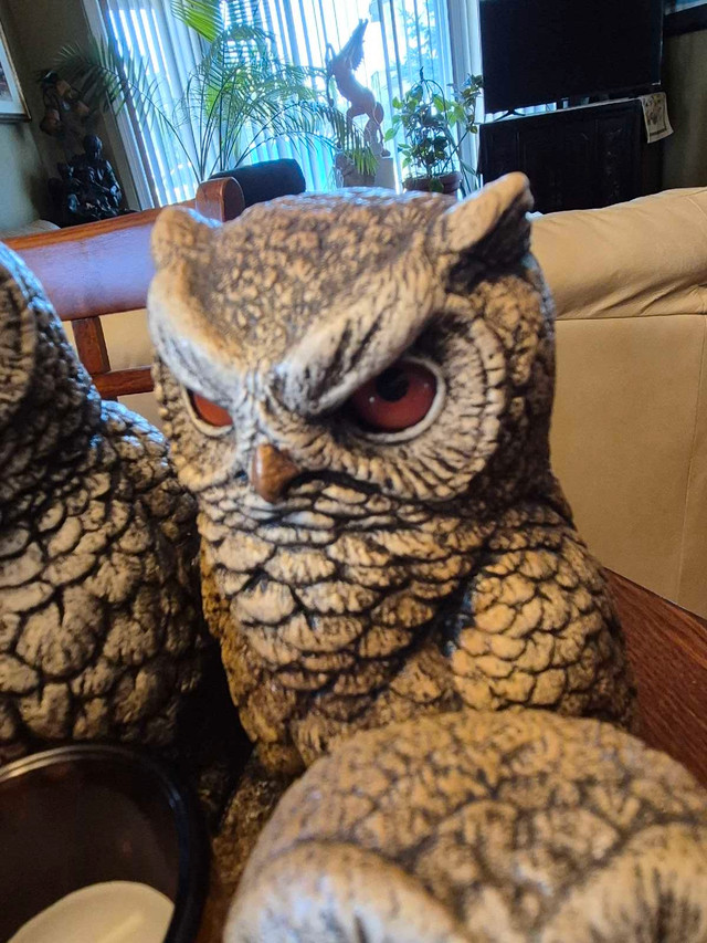 Peña Parliament of Owls - New - photo 4
