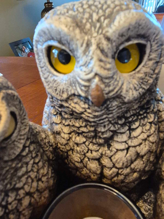 Peña Parliament of Owls - New - photo 5