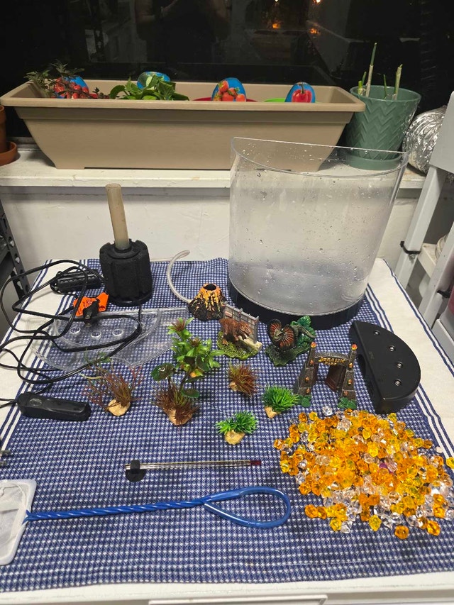 Mini Desktop Aquarium