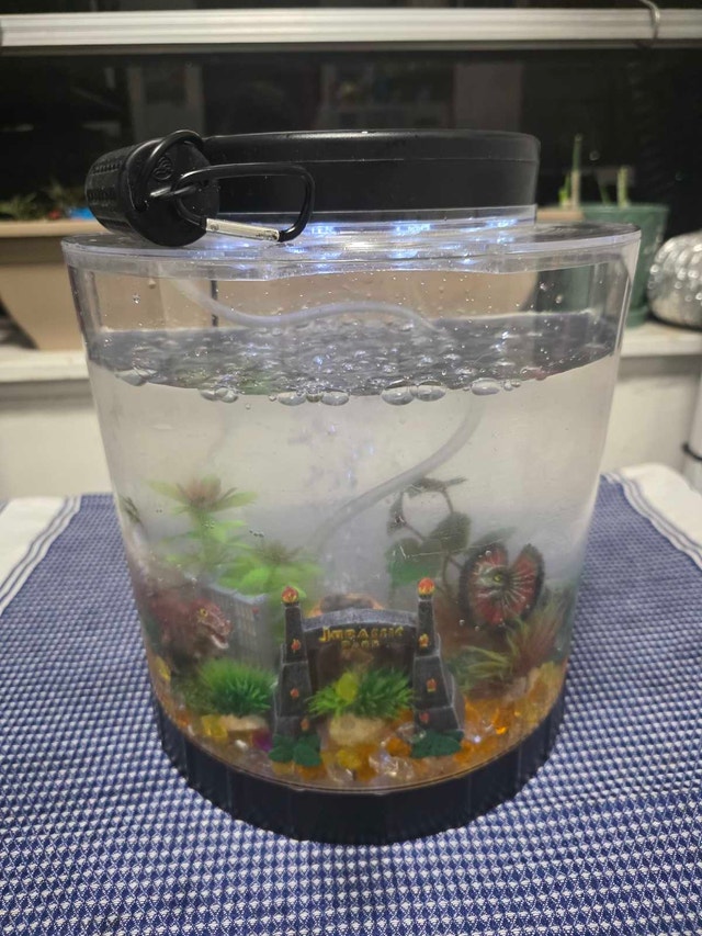 Mini Desktop Aquarium - photo 2