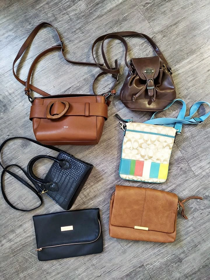 Lot of 6 Handbags - Coach, CO.LAB, Toscanella & More!