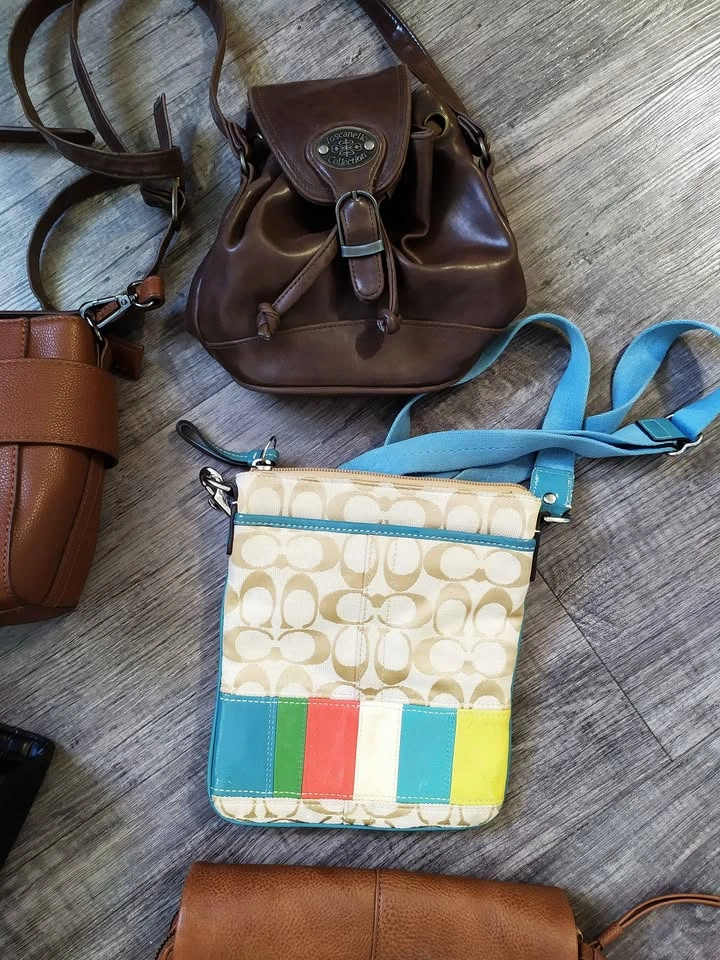 Lot of 6 Handbags - Coach, CO.LAB, Toscanella & More! - photo 2