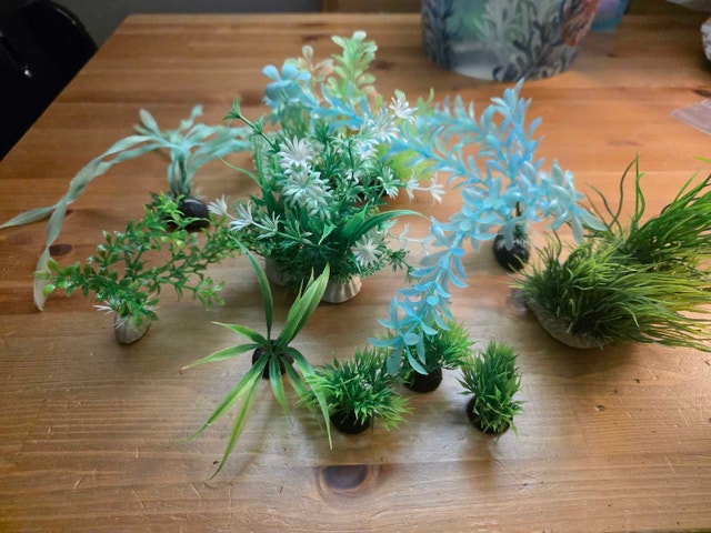 Aquarium plants Lot #1