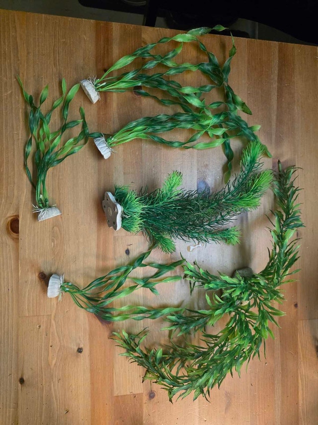 Aquarium Plants Lot #2