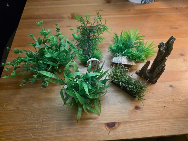 Aquarium Plants Lot #3
