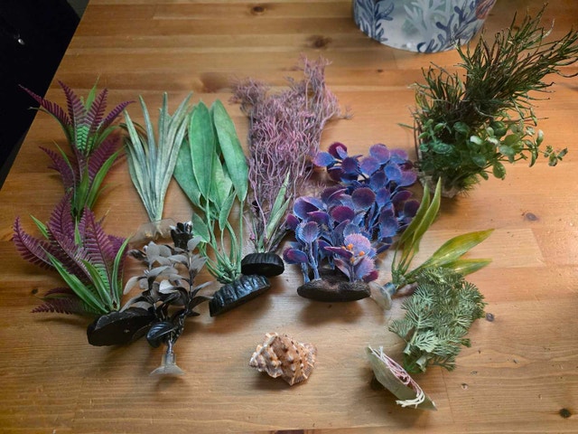 Aquarium Plants Lot #4