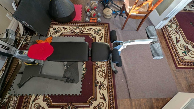 Bowflex Blaze - photo 2