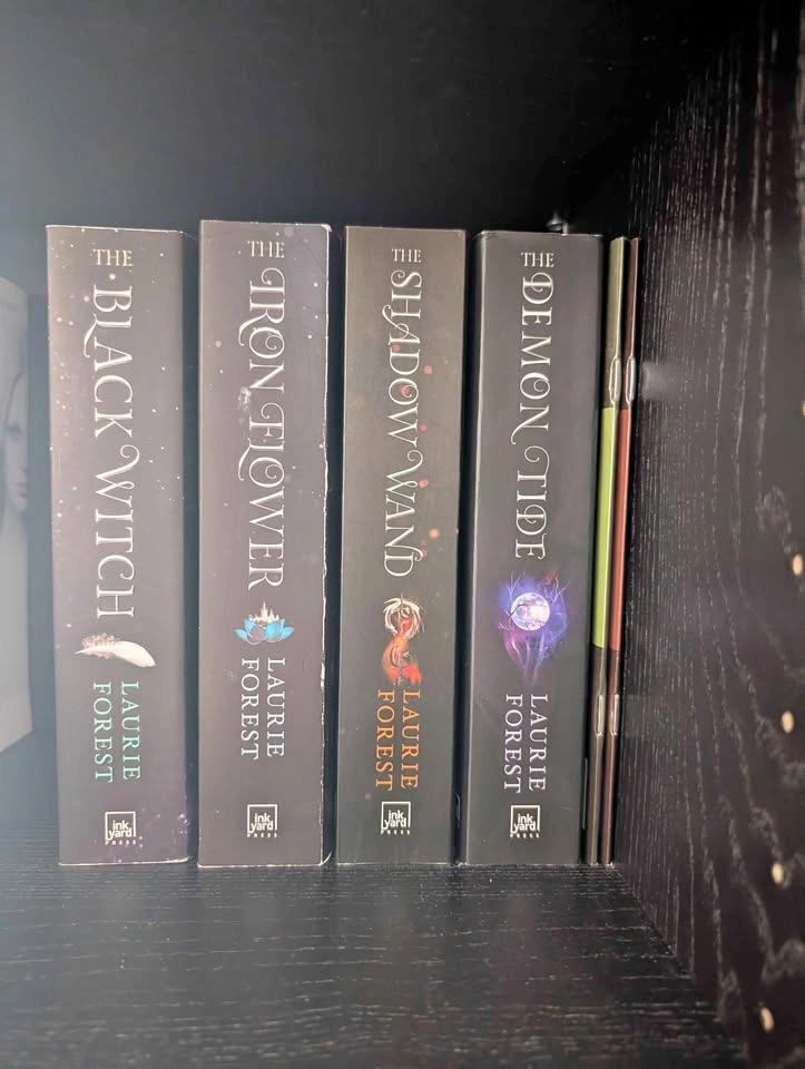 The Black Witch set first 4 books