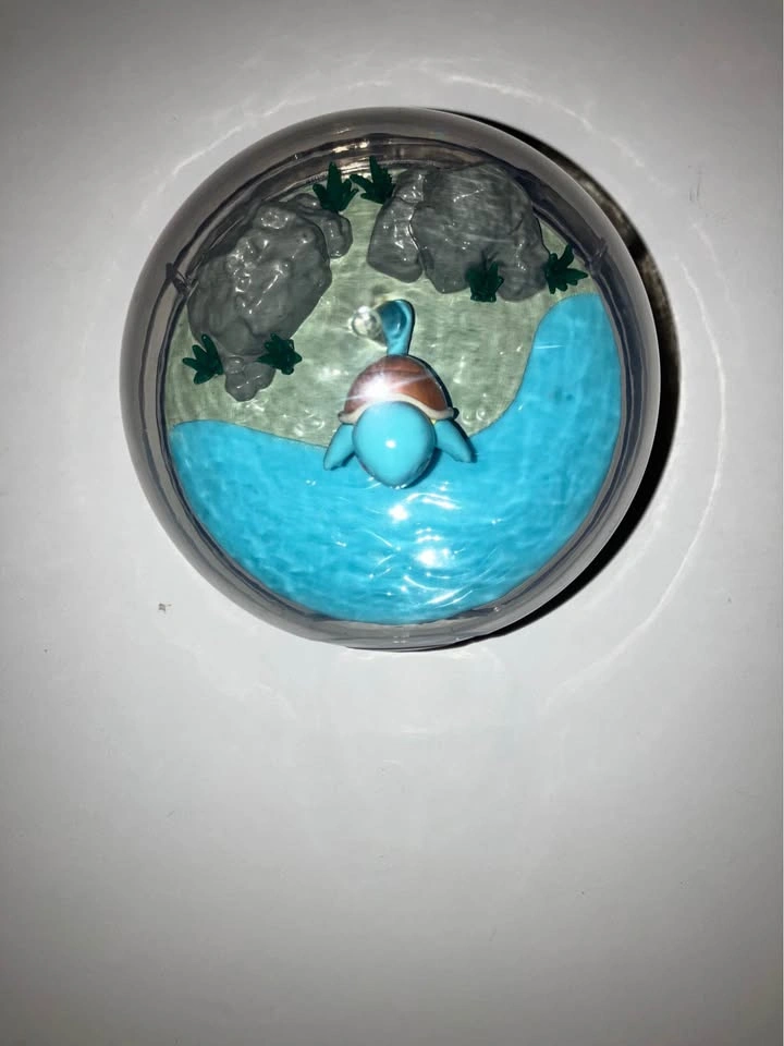 Pokemon Squirtle Illuminated Terrarium - photo 3