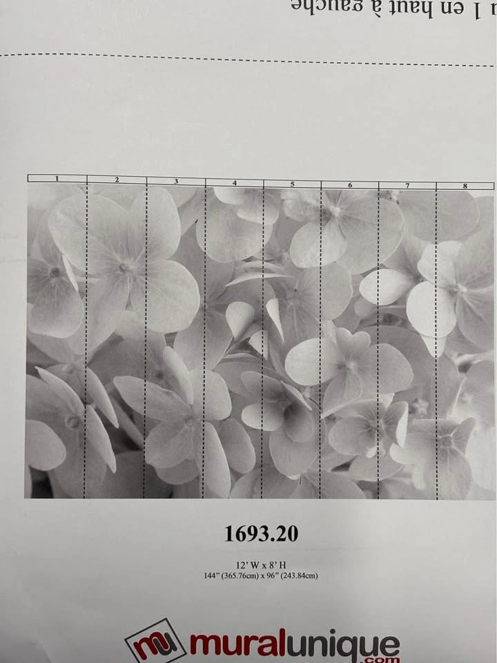 Orchid white/grey wall mural