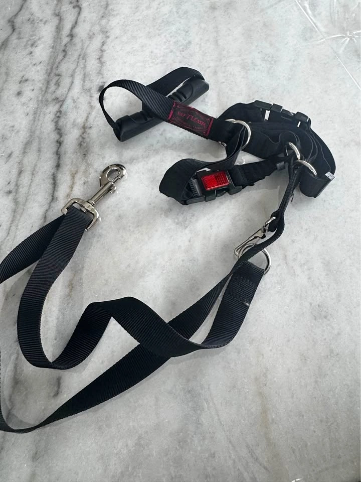 SAF-TLEASH dog harness and leash set