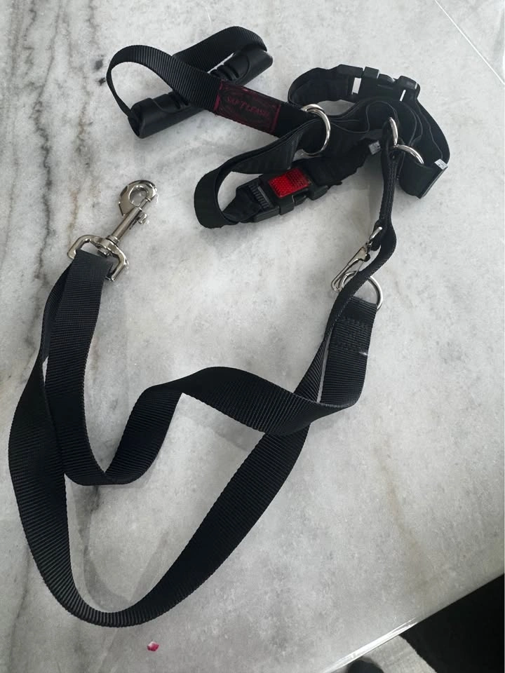 SAF-TLEASH dog harness and leash set - photo 3