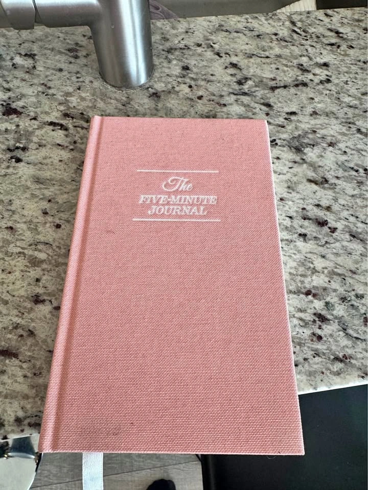 Pink Five-Minute Journal Urban Outfitters