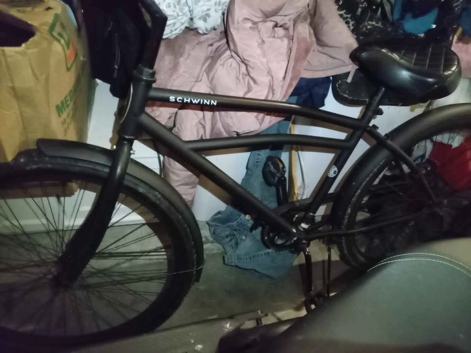 Schwinn Beach Cruiser