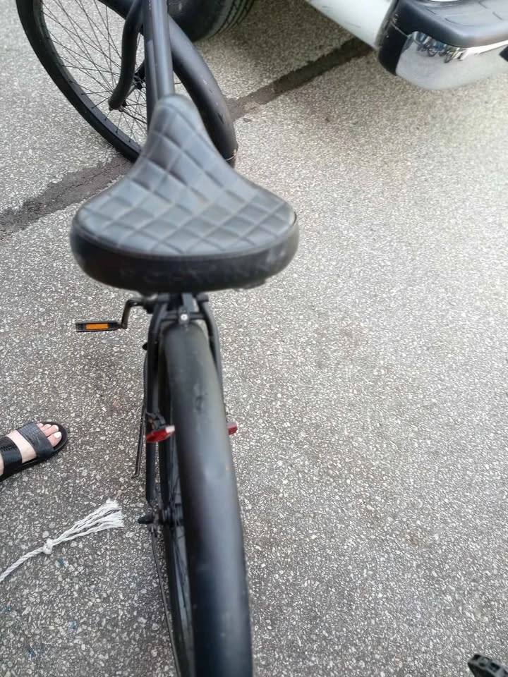 Schwinn Beach Cruiser - photo 2