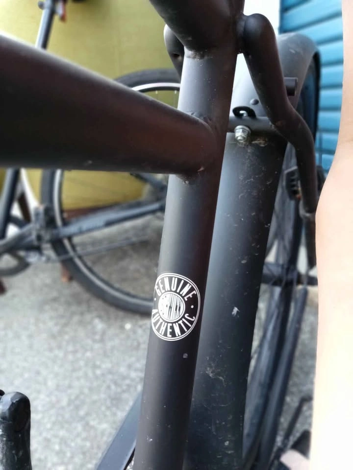 Schwinn Beach Cruiser - photo 3