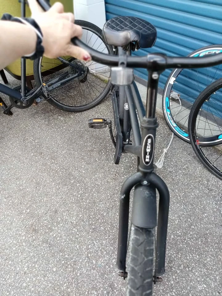 Schwinn Beach Cruiser - photo 5