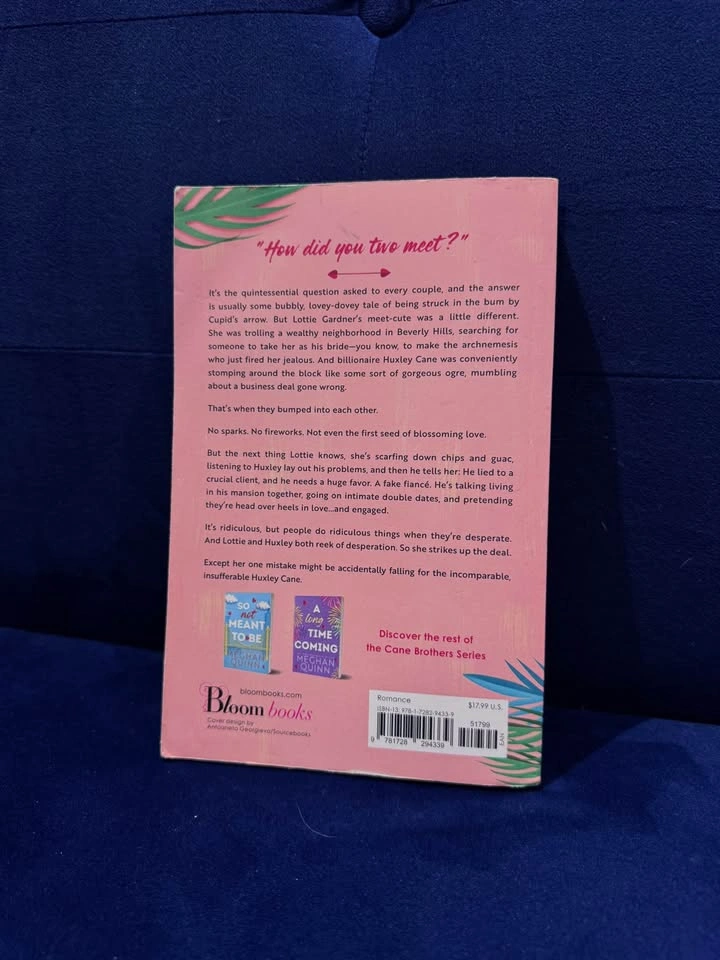 A Not So Meet Cute - Meghan Quinn (Paperback) - photo 2