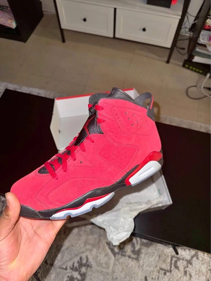 Toro bravo Jordan 6